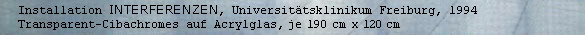 Installation INTERFERENZEN, Universitätsklinikum Freiburg, 1994, Transparent-Cibachromes auf Acrylglas, je 190 cm x 120 cm