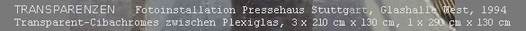 TRANSPARENZEN  Fotoinstallation Pressehaus Stuttgart, Glashalle West, 1994, Transparent-Cibachromes zwischen Plexiglas, 3 x 210 cm x 130 cm, 1 x 290 cm x 130 cm