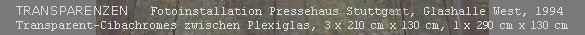 TRANSPARENZEN  Fotoinstallation Pressehaus Stuttgart, Glashalle West, 1994, Transparent-Cibachromes zwischen Plexiglas, 3 x 210 cm x 130 cm, 1 x 290 cm x 130 cm