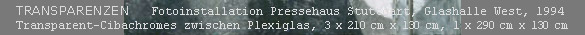TRANSPARENZEN  Fotoinstallation Pressehaus Stuttgart, Glashalle West, 1994, Transparent-Cibachromes zwischen Plexiglas, 3 x 210 cm x 130 cm, 1 x 290 cm x 130 cm