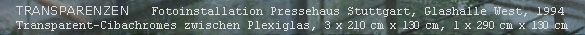 TRANSPARENZEN  Fotoinstallation Pressehaus Stuttgart, Glashalle West, 1994, Transparent-Cibachromes zwischen Plexiglas, 3 x 210 cm x 130 cm, 1 x 290 cm x 130 cm