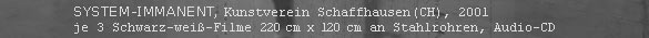 SYSTEM-IMMANENT, Kunstverein Schaffhausen (CH), 2001, je 3 Schwarz-weiß-Filme, 220 cm x 120 cm an Stahlrohren, Audio-CD